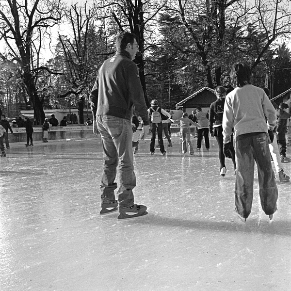 Image_03.jpg