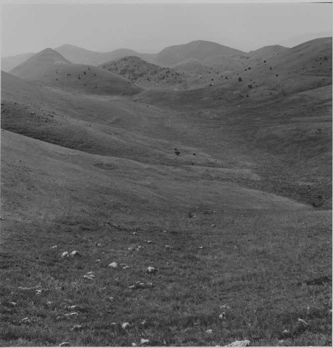 img001originale (1).jpg