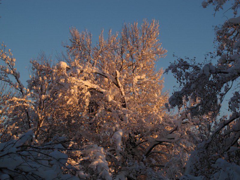 IMG_0221 [800x600].jpg