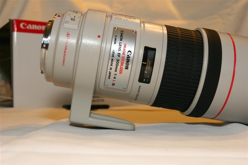 IMG_0241 (Medium).JPG