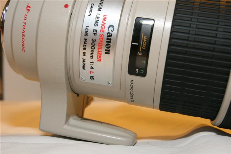 IMG_0245 (Medium).JPG