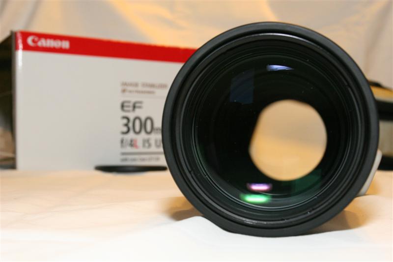 IMG_0247 (Medium).JPG