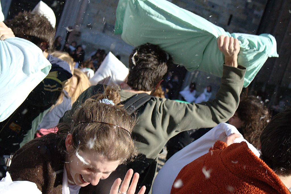 img_0267_web.jpg