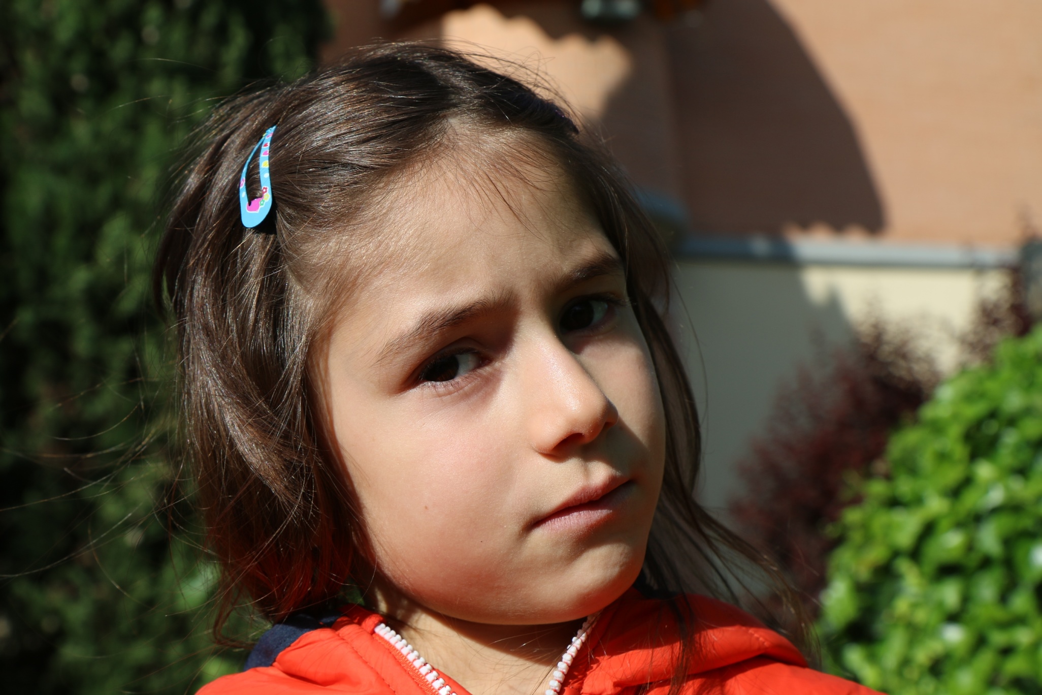 IMG_0733 - Copia.JPG