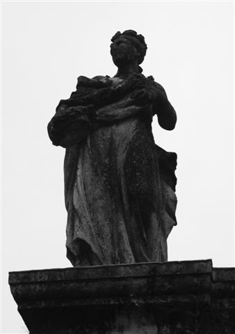 IMG_0845 (Small).JPG