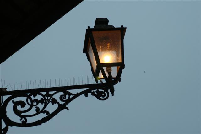 IMG_0878 (Small).JPG