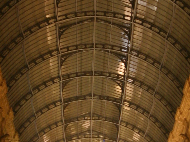 IMG_1155-center.jpg