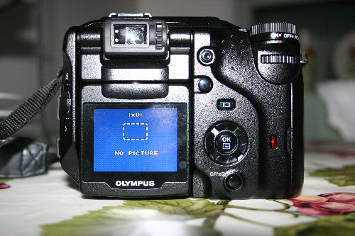 IMG_1181.JPG
