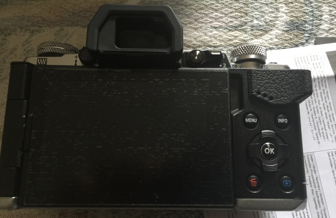 IMG_1210 - Copia.JPG