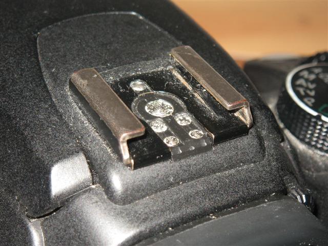 IMG_1501 (Small).JPG