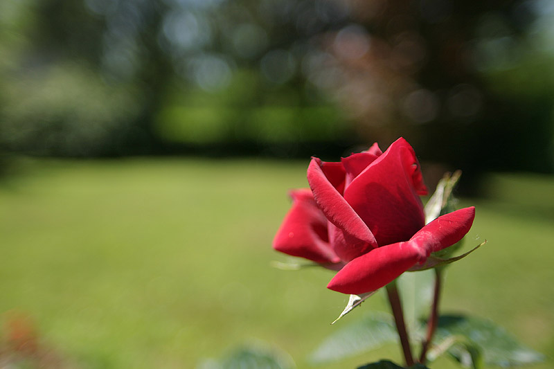 IMG_1709_small.jpg