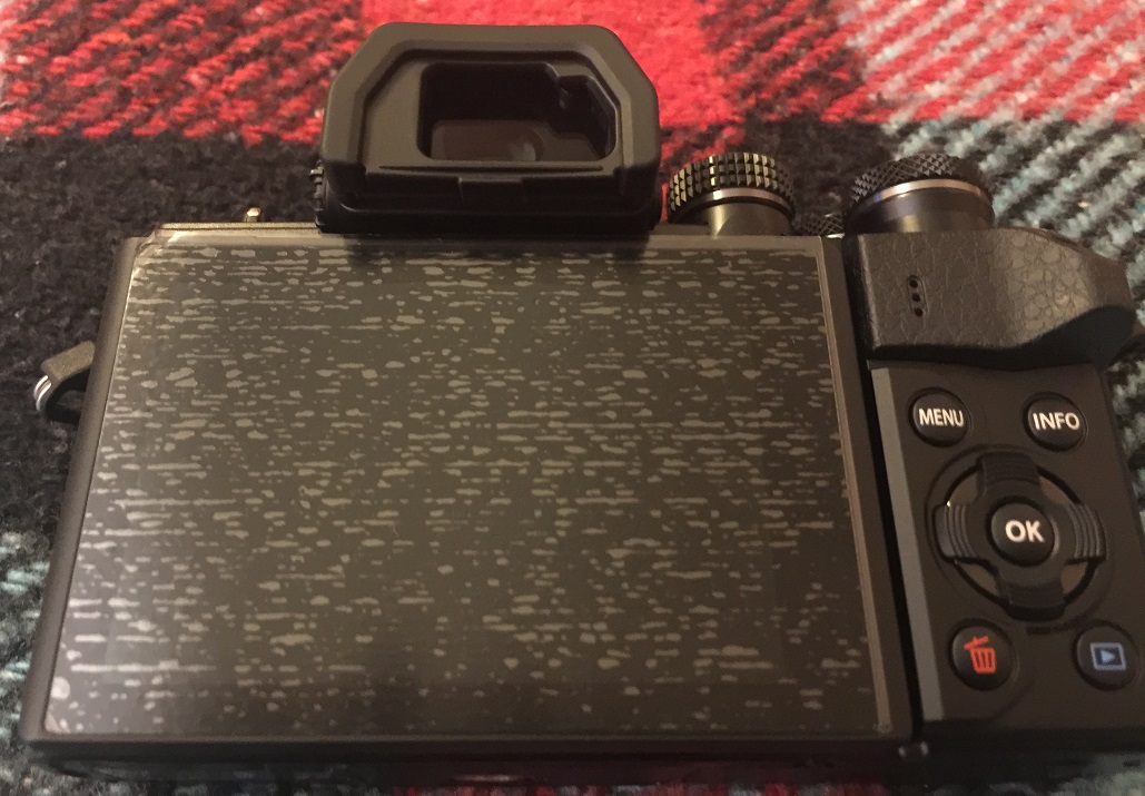 IMG_1770 - Copia.JPG