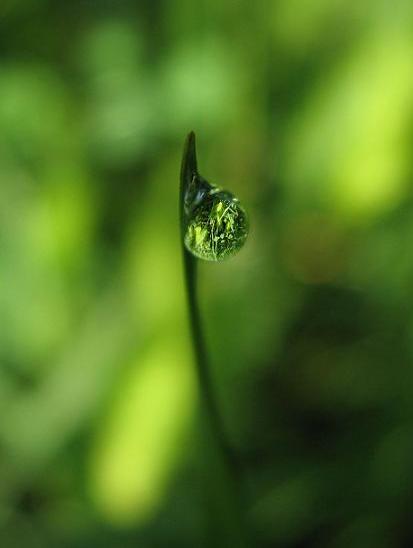 IMG_3383 verti.JPG