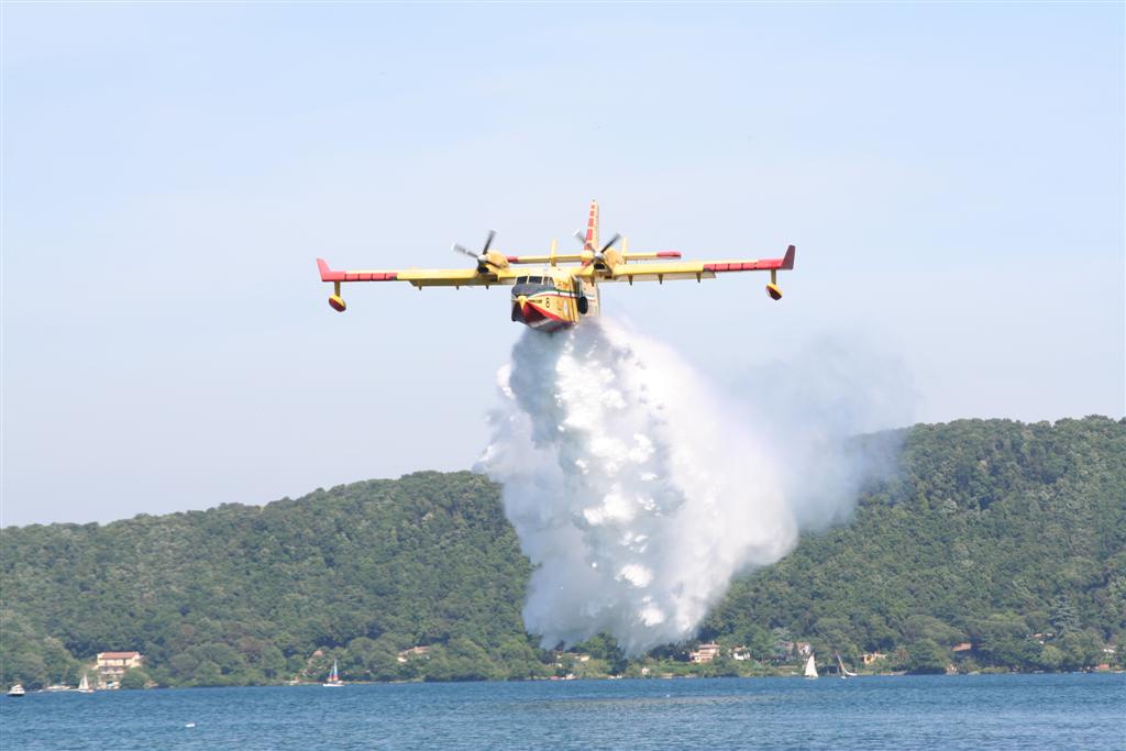 IMG_4980 (Large).jpg