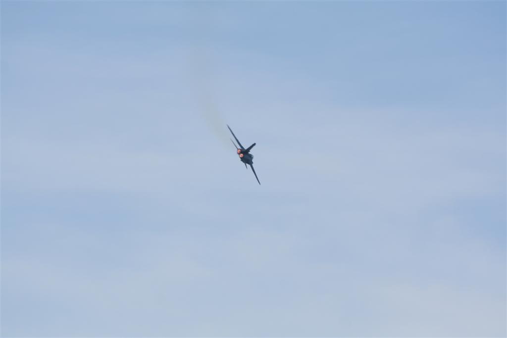 IMG_5342 (Large).jpg