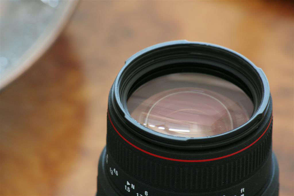 IMG_5998 (Large).JPG