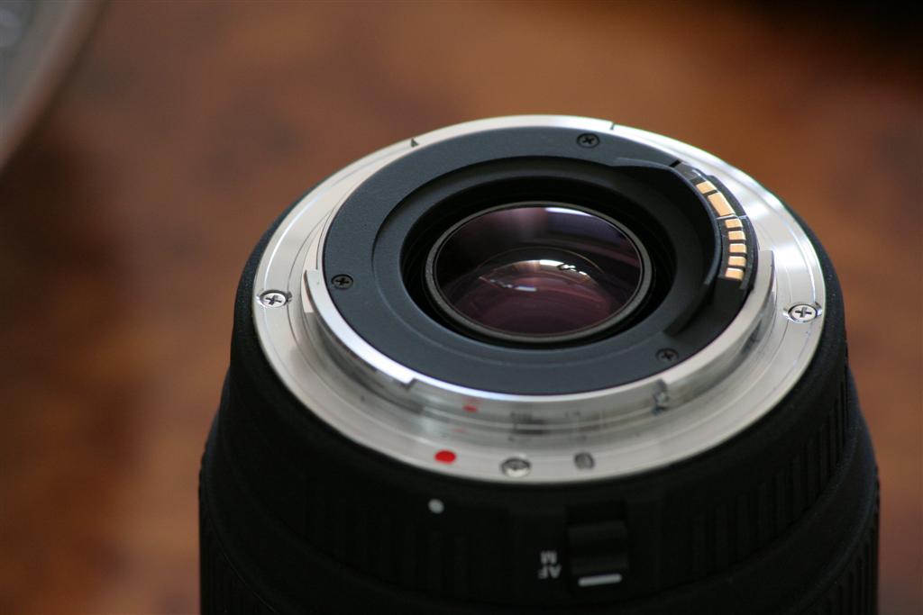 IMG_5999 (Large).JPG