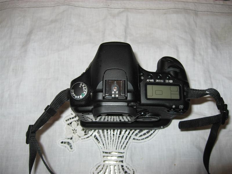 IMG_6906 (Medium).JPG