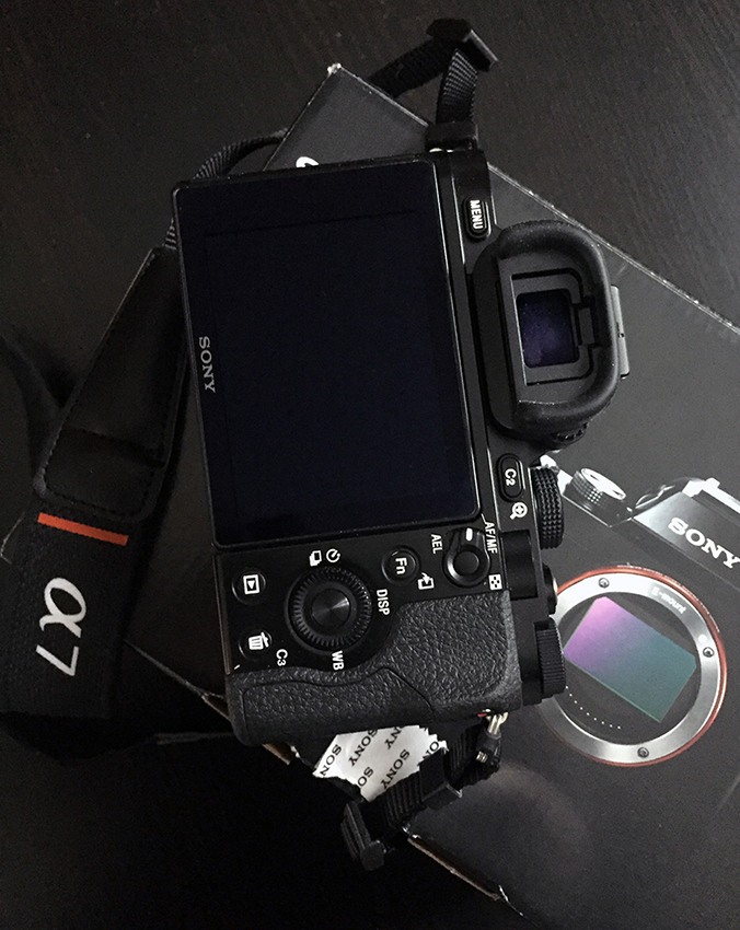 IMG_7105tagbas bassa.jpg