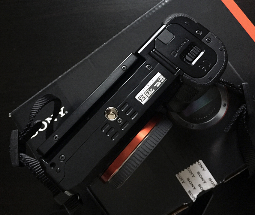 IMG_7107bas bassa.jpg