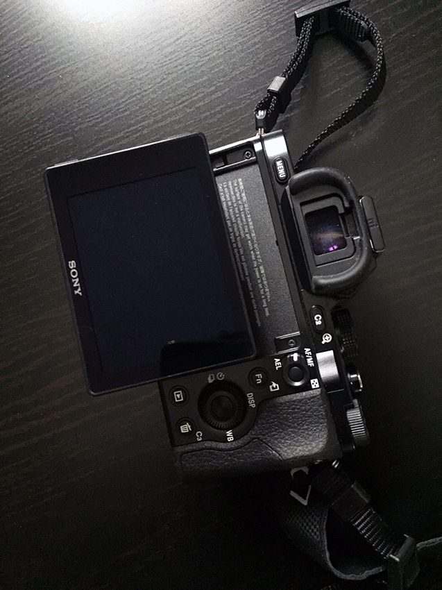 IMG_7110bas bassa.jpg