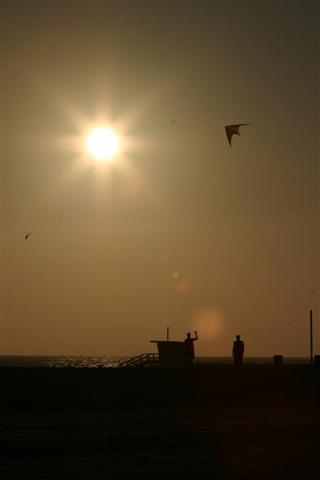 IMG_7133 (Large) (Small).JPG