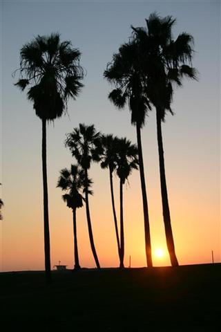 IMG_7145 (Large) (Small).JPG