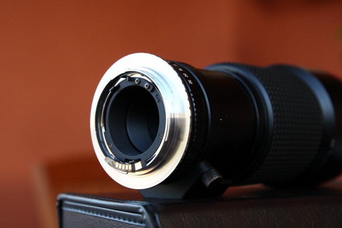 IMG_7151 [800x600].JPG