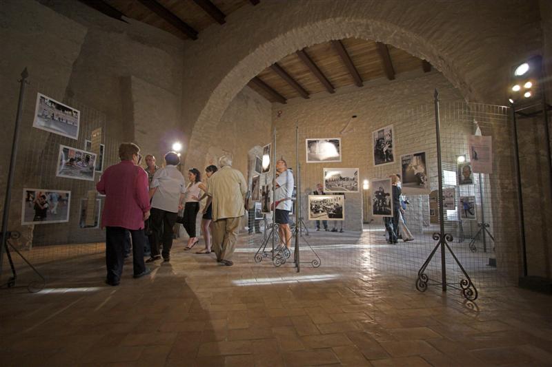 IMG_7419-01 (Medium).jpg