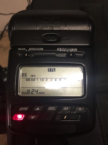 IMG_7521 (Small).JPG