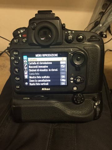 IMG_7525 (Small).JPG