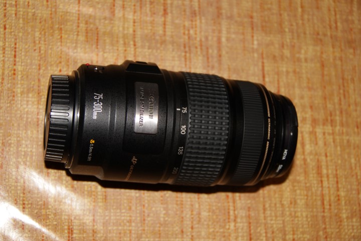 IMG_7592 (Small).JPG