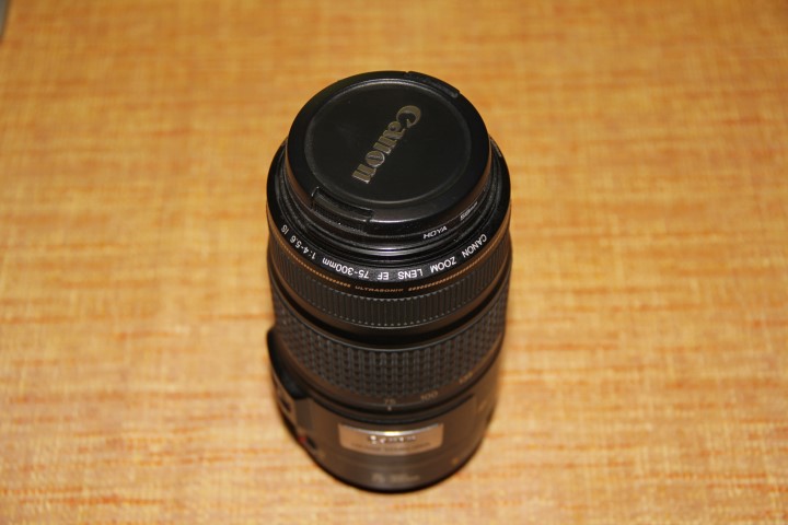 IMG_7593 (Small).JPG