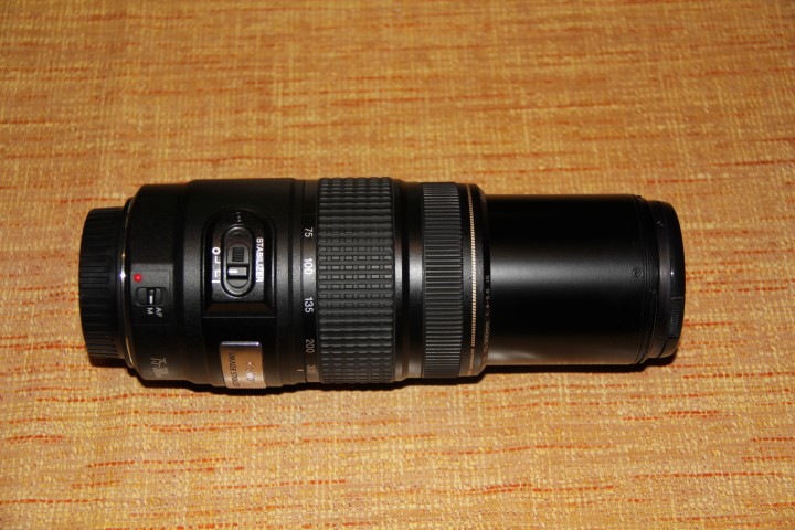 IMG_7594 (Small).JPG