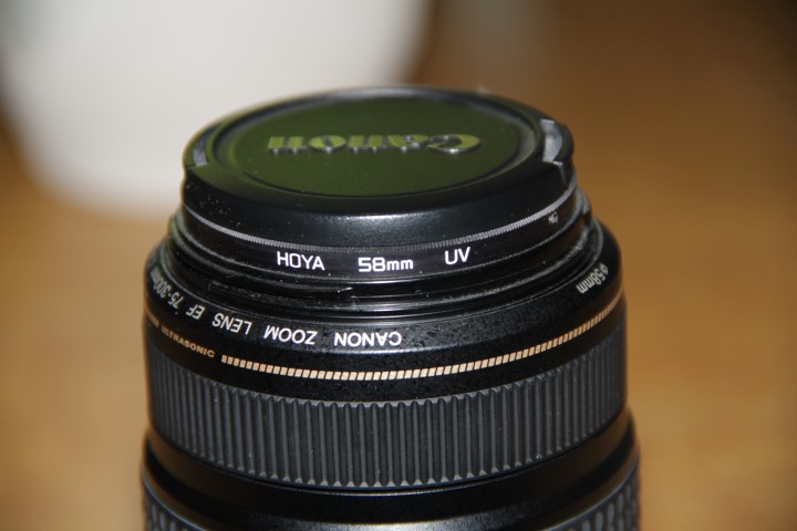 IMG_7596 (Small).JPG