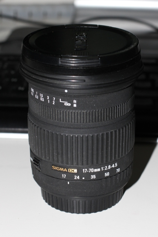 IMG_7904 - Copia.JPG