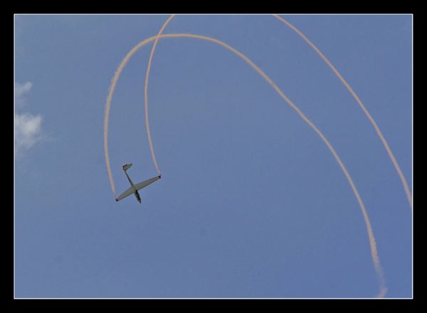 IMG_7983.jpg