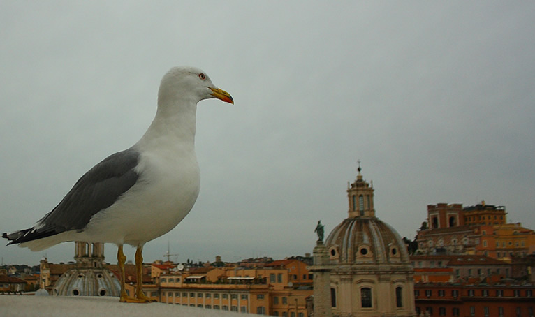 IMG_8236.JPG