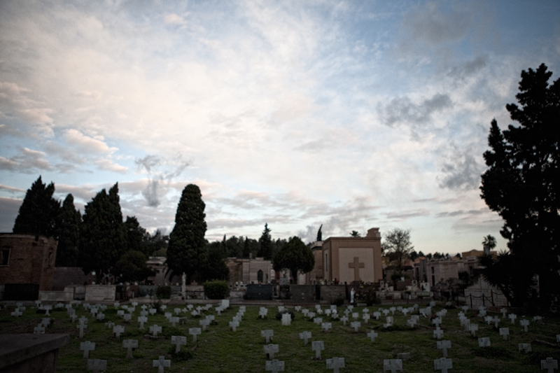 IMG_9332senza titoloweb.jpg