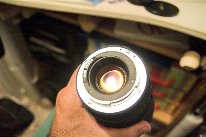 IMG_9473-01 (Large) (Medium).jpg