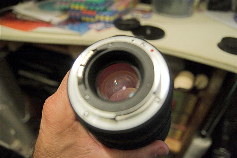 IMG_9474-01 (Large) (Medium).jpg