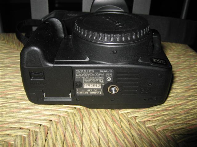 IMG_9593 (Small).JPG