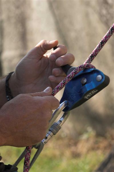 IMG_9656-01 (Medium).jpg