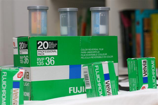 IMG_9903 (Small).JPG