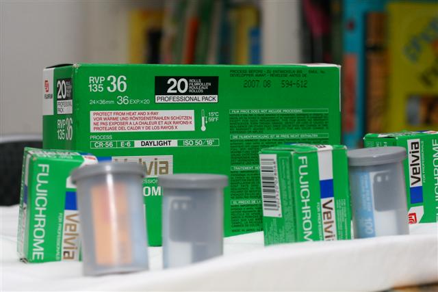 IMG_9904 (Small).JPG