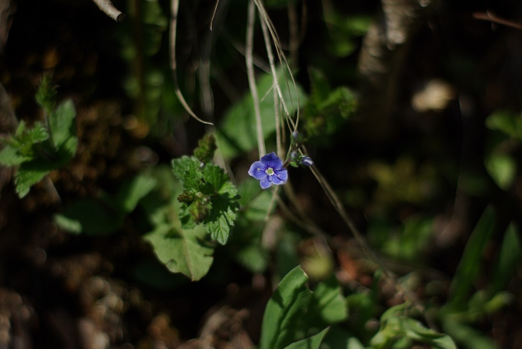 Imgp1124.jpg