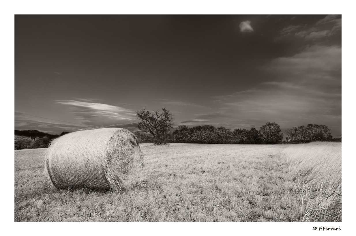 IMGP3860_da raw_ps_bn_cielo nero_1200_w.jpg