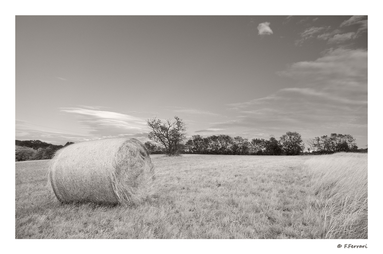 IMGP3860_da raw_ps_bn_seppia_1200_w.jpg
