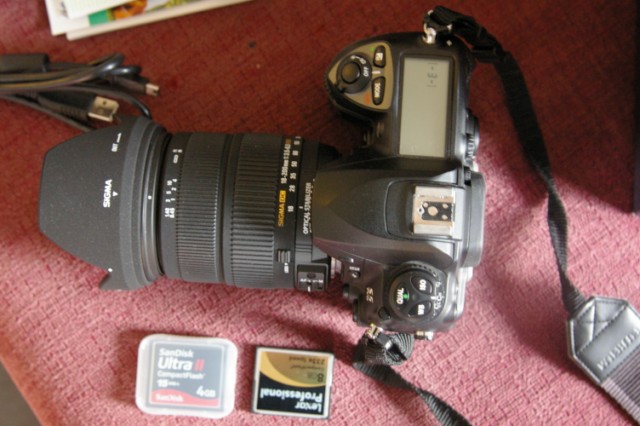 IMGP6019.JPG