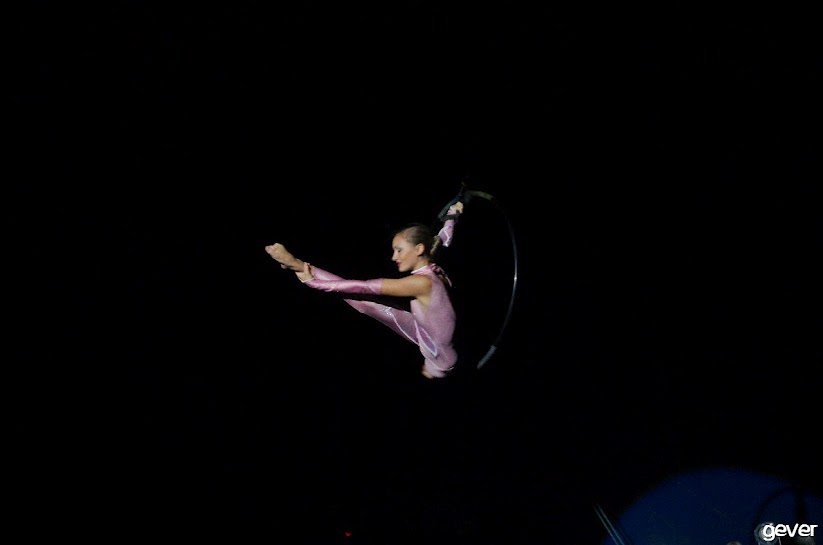 IMGP8312.jpg